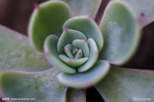 㽭:ɧŵ绰ռ 110ܽӾĳΪЧ