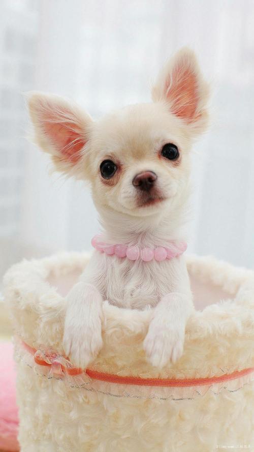 ŷ»׼202111ʱִӢŷЭ